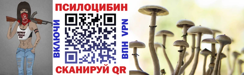 мега зеркало  как найти закладки  Каргат  Псилоцибиновые грибы Psilocybe 