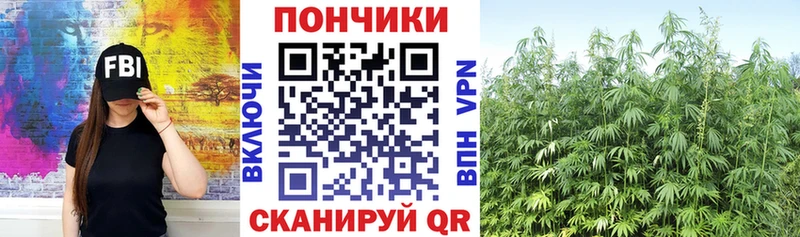 Шишки марихуана AK-47 Каргат